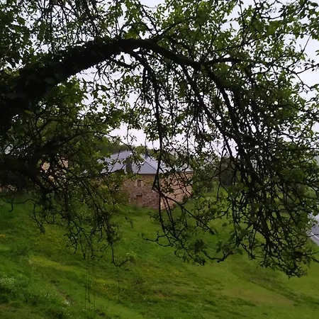 Rurales